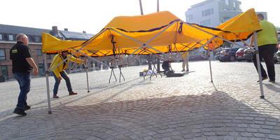 De gele campagnegolf in Ekeren