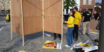 De gele campagnegolf in Ekeren