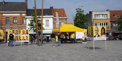 De gele campagnegolf in Ekeren