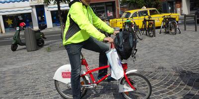 De gele campagnegolf in Ekeren