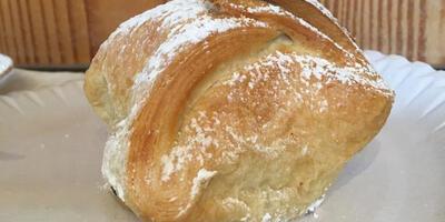 Appelbollenloop edite 2020